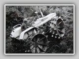 COUNTY 1124 ON MOTUROA ISLAND ( BAY OF ISLANDS IN THE 70S